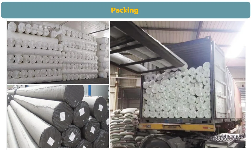 Price 200g 300g Per M2 Filament Pet PP Non Woven Nonwoven Geo Textile Fabric Geotextile