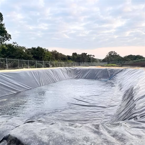 양식업/양식장/새우/연못/댐/매립/광업/소금/꼬리 라이너용 맞춤형 HDPE/LDPE/PE/EV/ECB/PVC 질감/복합 지오멤브레인 제조업체